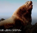 День сивуча отметят в Невельске 