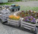Серость сменили яркие краски: в Сахалинской области подвели итоги конкурса на лучшее благоустройство колоний
