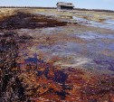 Нефтяной разлив в Ногликском  районе достиг Дагинских термальных источников и Ныйского залива