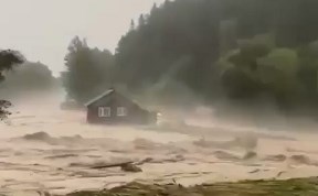 Общество