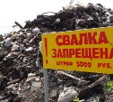 Более 550 несанкционированных свалок за 2014 год выявили на территории Сахалинской области 