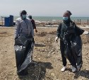 Около 30 кубометров мусора собрали в Томаринском районе 