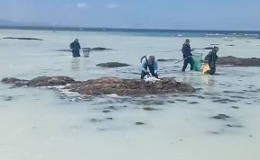 Общество