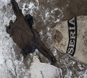 Личность мужчины, найденного мертвым на берегу Татарского пролива, установлена