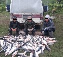 Полицейские задержали двух нелегальных мигрантов, занимавшихся незаконным выловом рыбы