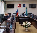 На Сахалине и Курилах предложили увеличить число депутатов-одномандатников
