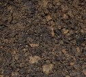 На Сахалине обвалился грунт во время раскопки траншеи - погиб рабочий
