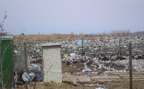 Политика и экономика