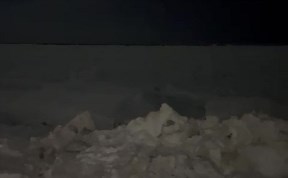 Общество