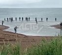 Очередные "кошатники" испортили настроение рыбакам на юге Сахалина