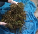 «Наркобарона» с 10 кг наркотиков задержали на севере Сахалина