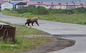Происшествия