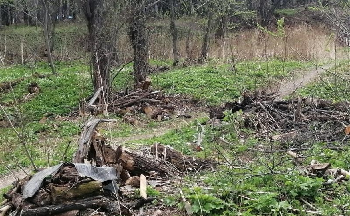 Парк, спортшкола и водоканал Южно-Сахалинска забыли убрать мусор после субботников