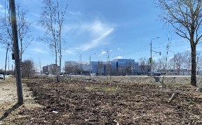Общество