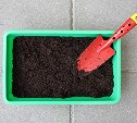 Шуметь на даче нельзя: когда соседи могут вызвать полицию