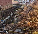 Очевидцы: упавшее дерево грозит заблокировать Язычницу в Холмске и затопить дома