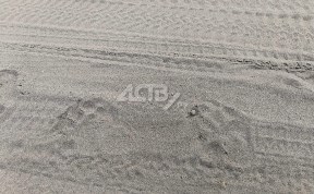 Общество