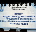 Южно-Сахалинск потеряет миллиарды, но сохранит социалку