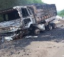 Собака в приюте, грузовик сгорел: подробности смертельного ДТП на Сахалине от Госавтоинспекции
