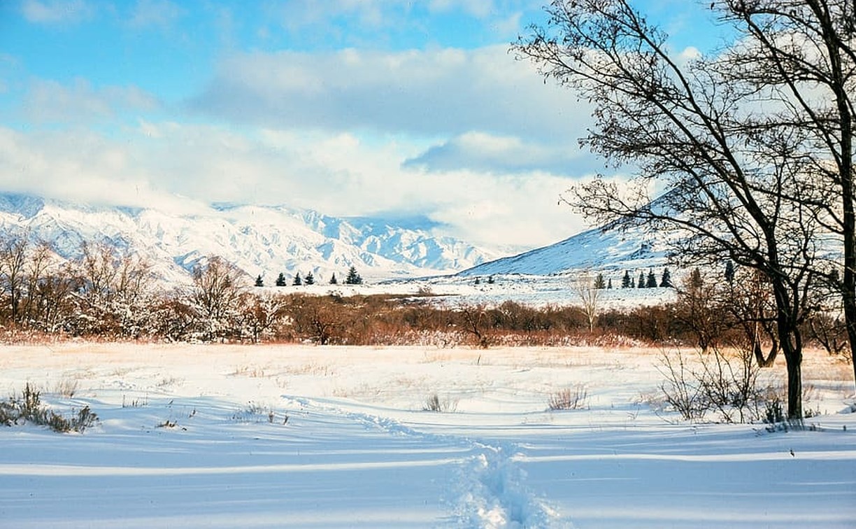 От +2 до -25, слегка снежно: прогноз погоды для всех районов Сахалинской области на 28 декабря