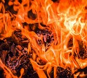 В Корсакове в полночь загорелся мусорный контейнер 