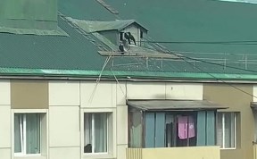 Общество