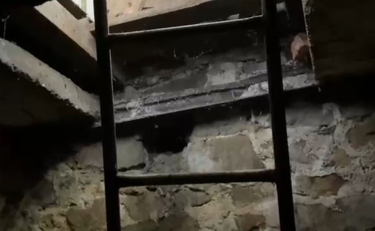 "Мы уже с жизнью попрощались": волонтёры семь часов провели в подвале дома под огнём ВСУ
