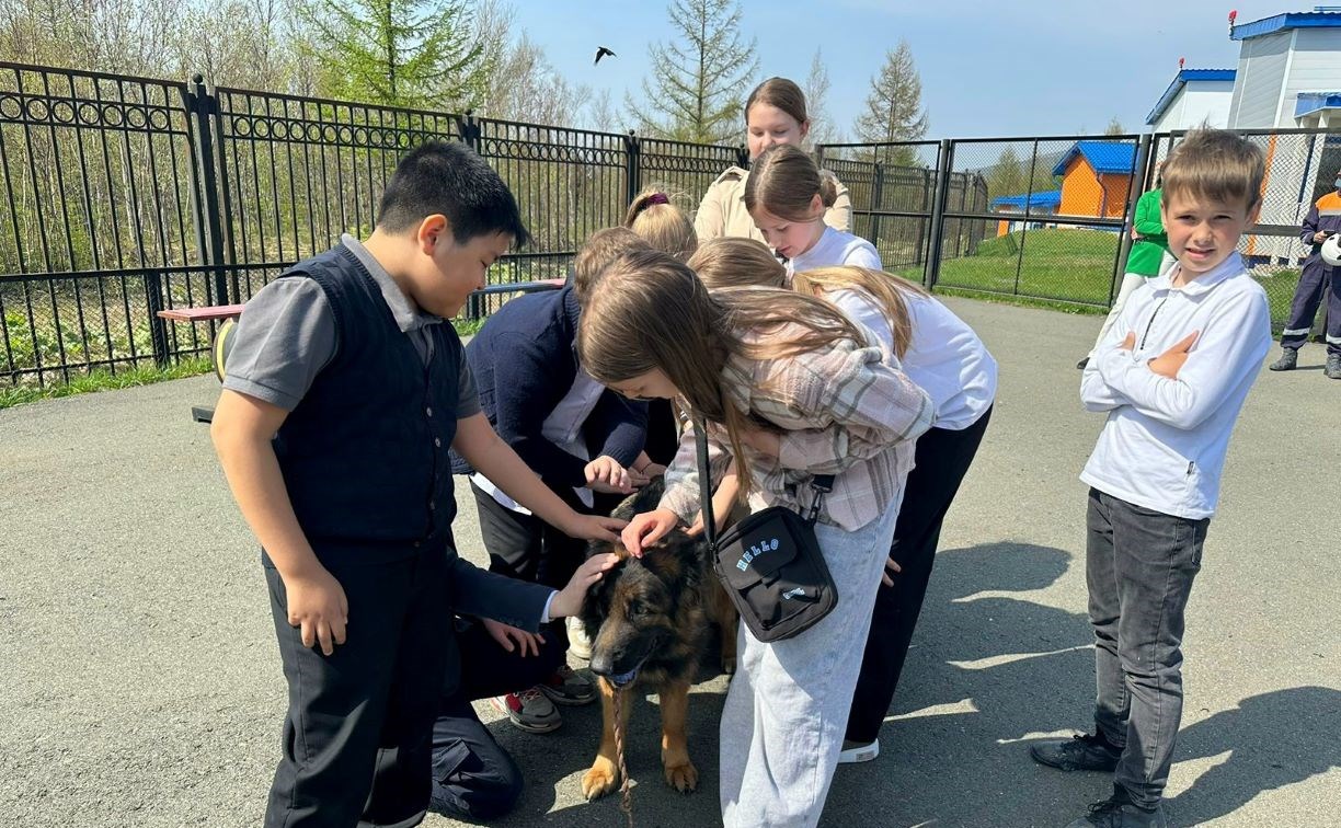 Спасатели познакомили школьников Южно-Сахалинска со служебной собакой Норой