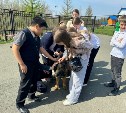 Спасатели познакомили школьников Южно-Сахалинска со служебной собакой Норой