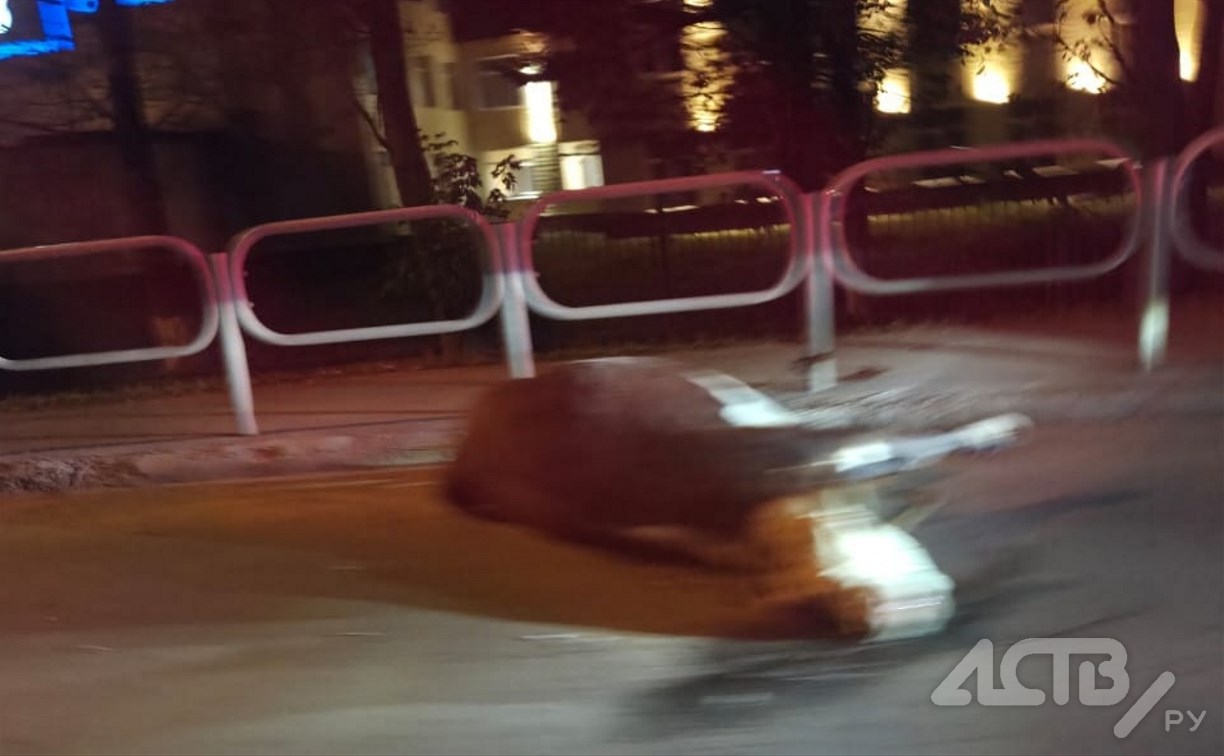 Корову сбил автомобиль в Ново-Александровске