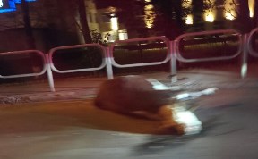 Происшествия