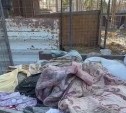 Телегу с трупами домашних собак обнаружили в сахалинском приюте волонтеры и пришли в шок