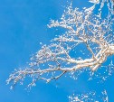 Кому солнце, кому снег: прогноз погоды для всех районов Сахалинской области на 8 декабря