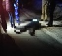 Автомобиль насмерть сбил мужчину в Южно-Сахалинске