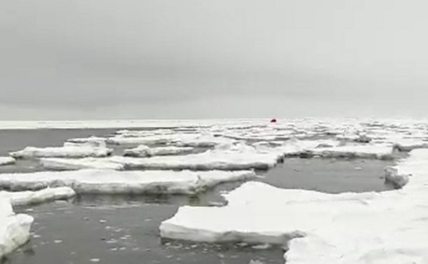 На Сахалине на оторвавшемся льду в морской круиз отправилась палатка 