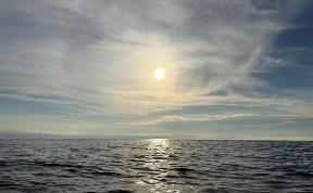 Общество
