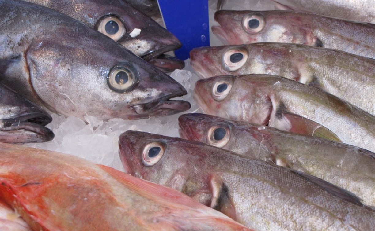 В районе Южных Курил рыбаки выловили более 82 тысяч тонн иваси