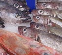 В районе Южных Курил рыбаки выловили более 82 тысяч тонн иваси