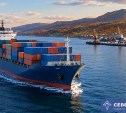 Сахалинская компания станет первой в России площадкой для тестирования системы "Северный завоз"