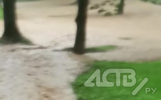 После мощного ливня в парке Южно-Сахалинска появилась река - видео