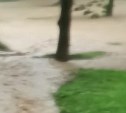 После мощного ливня в парке Южно-Сахалинска появилась река - видео