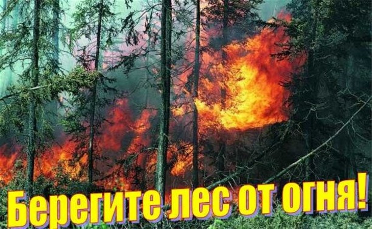 Высокая пожарная опасность сохраняется в двух районах Сахалинской области