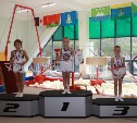 Сахалинские гимнасты разыграли медали областного турнира