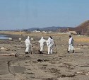 Остатки нефтепродуктов убрали с пляжа "Садовники" в Холмском районе