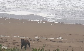 Общество