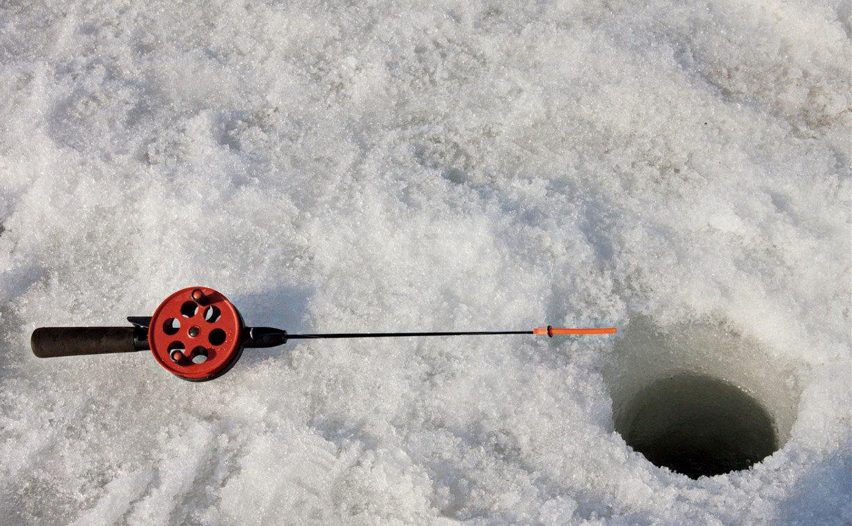 Рыбка не по сезону: сахалинцы в разгар зимы поймали горбушу