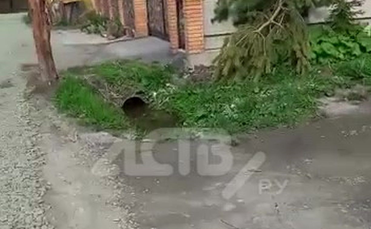 Частные дома подтопило в Южно-Сахалинске из-за "ничейной" трубы