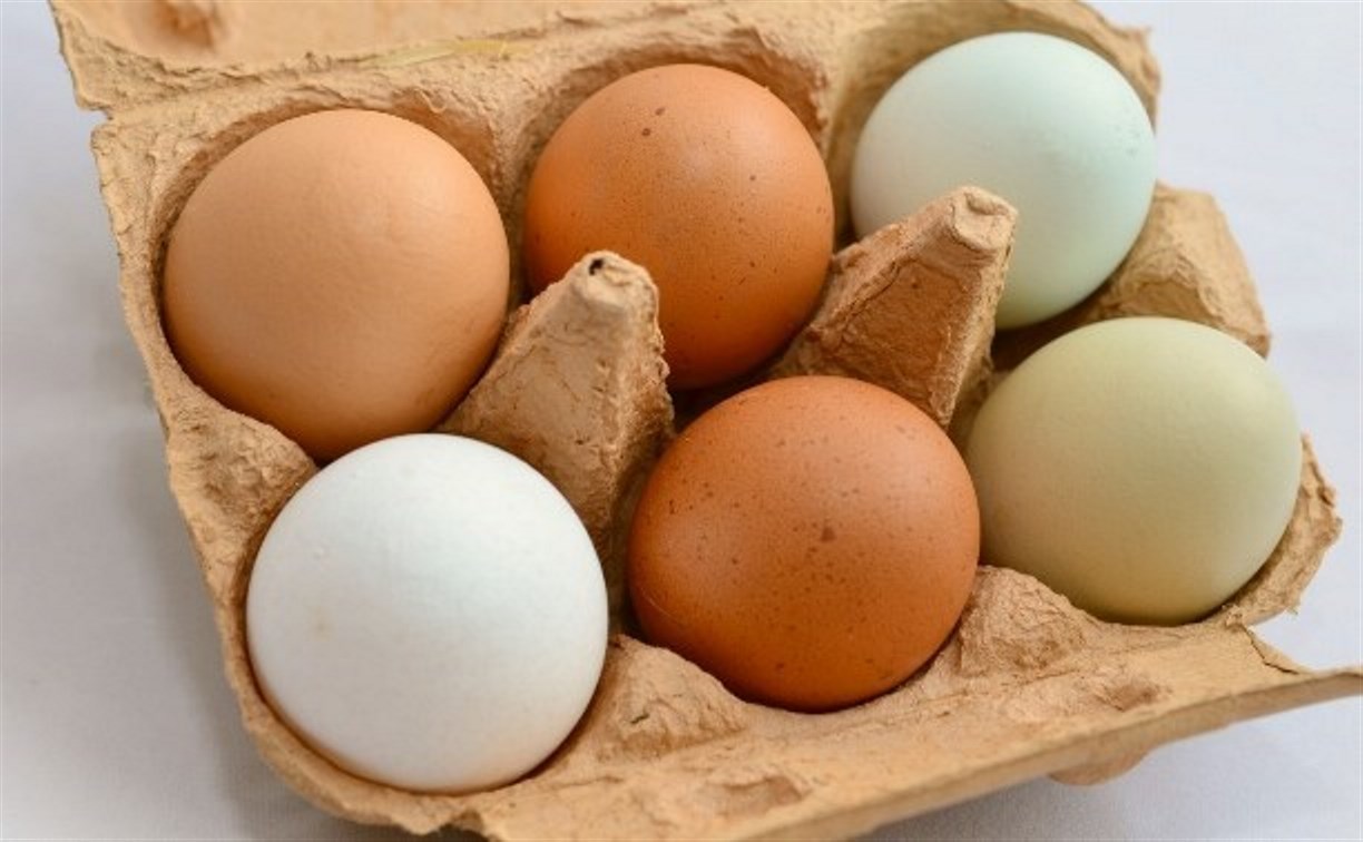 Роспотребнадзор запретил торговать "порочными" яйцами, банками с порчей и арбузом в нарезку