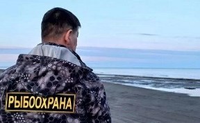 Происшествия