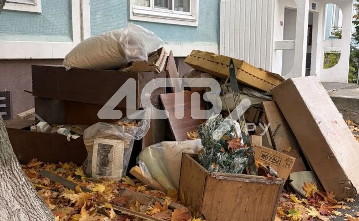 Южносахалинцы жалуются на свалку у дома на проспекте Мира, 269